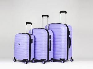Suitcase 1